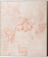 Framed Studies of heads, 1508-12d