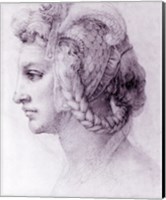 Framed Ideal Head of a Woman, c.1525-28