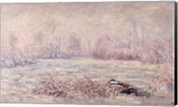 Framed Frost near Vetheuil, 1880