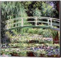 Framed White Waterlilies, 1899