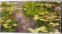 Framed Waterlilies (green horizontal)