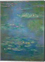 Framed Waterlilies, detail, 1903