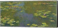 Framed Lily Pond