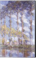 Framed Poplars, 1881