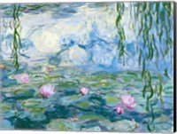 Framed Waterlilies, 1916-19