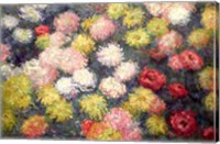 Framed Chrysanthemums, 1897