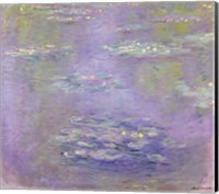 Framed Waterlilies, 1903 (purple)