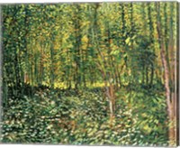 Framed Trees and Undergrowth, 1887