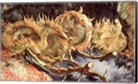 Framed Four Withered Sunflowers, 1887