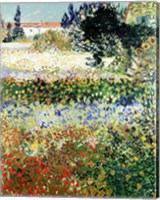 Framed Garden in Bloom, Arles, 1888