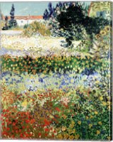 Framed Garden in Bloom, Arles, 1888