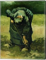 Framed Peasant Woman Digging, 1885