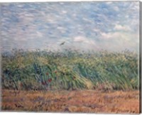 Framed Wheatfield with Lark, 1887