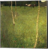 Framed Farmhouse with Birch Trees, 1900