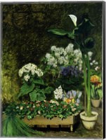 Framed Flowers in a Greenhouse, 1864