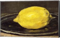 Framed Lemon, 1880