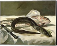 Framed Eel and Red Mullet, 1864