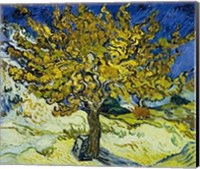Framed Mulberry Tree, 1889
