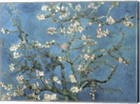 Framed Almond Blossom, 1890