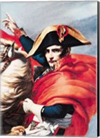 Framed Napoleon