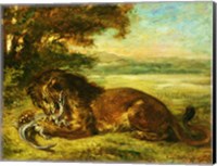 Framed Lion and Alligator, 1863