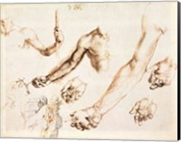 Framed Study of male hands and arms