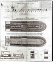 Framed Stowage of the British Slave Ship 'Brookes' Under the Regulated Slave Trade Act of 1788