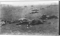 Framed Harvest of Death, Gettysburg, 1863