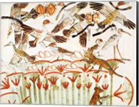 Framed Fishing and fowling in the marshes, detail of the birds, from the Tomb Chapel of Menna