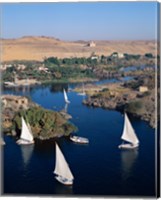 Framed Feluccas on the Nile River, Aswan, Egypt