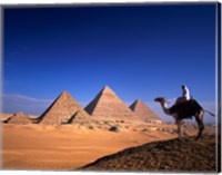 Framed Riding a camel near pyramids, Giza Pyramids, Giza, Egypt