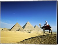 Framed Man riding a camel near the pyramids, Giza, Egypt