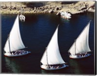 Framed Sailboats in a river, Nile River, Aswan, Egypt