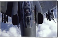 Framed McDonnell Douglas F-4E Phantom II Jet Fighter