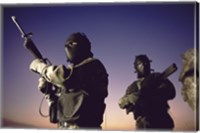 Framed SWAT Team  United States Military
