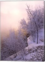 Framed River covered with fog at sunrise