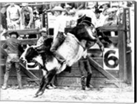 Framed Side profile of a cowboy riding a bull at a rodeo