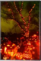 Framed Jack o' lanterns lit up at night, Roger Williams Park Zoo, Providence, Rhode Island, USA