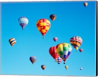 Framed Group of Hot Air Balloons Floating Together in Albuquerque, New Mexico