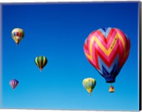 Framed Group of Hot Air Balloons