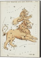 Framed Leo Major and Leo Minor Constellation
