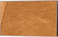 Framed Nazca Lines Design