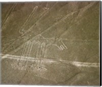 Framed Nazca Lines Dog