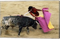 Framed High angle view of a matador fighting with a bull, Spain