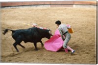 Framed Matador fighting a bull, Plaza de Toros, Ronda, Spain