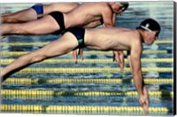 Framed Side profile of three swimmers jumping into a swimming pool