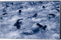 Framed US Navy Swimming Race