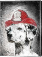 Framed Firefighter Dalmation