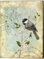 Framed Songbird Sketchbook II