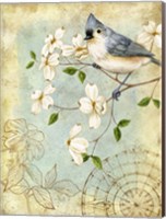 Framed Songbird Sketchbook IV